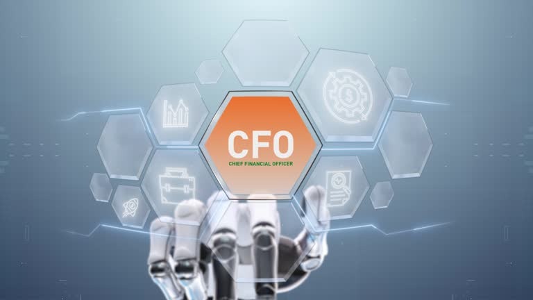 Dedicated CFO Advisory Services for Sustainable Business Success