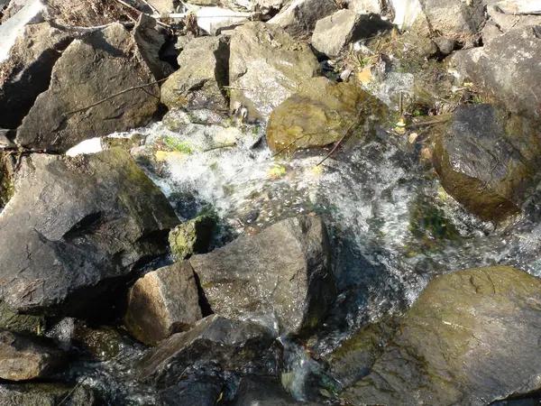 Water Leaks Severna Park Inspection Checklist for Every Property Owner