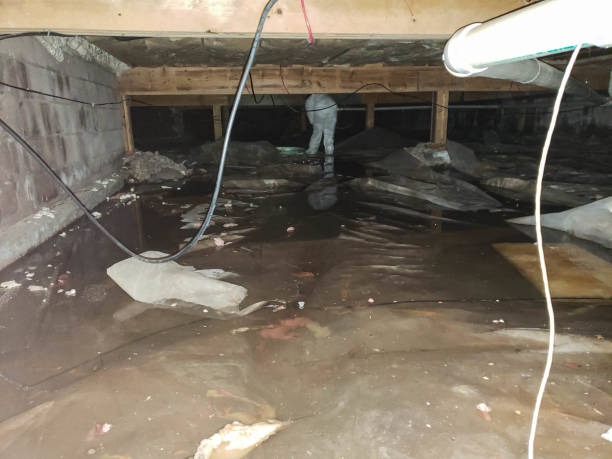 Affordable Indianapolis Crawl Space Services for Every Home