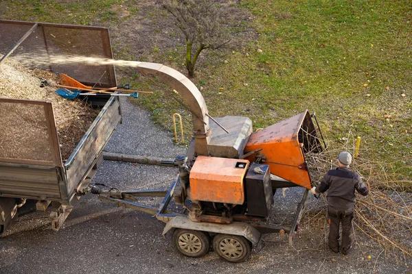 Reliable Tree Service Mobile Solutions for Residential Properties